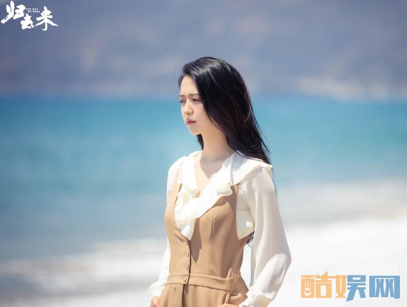 电视剧归去来剧情分集介绍第19集