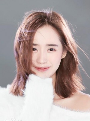 王智