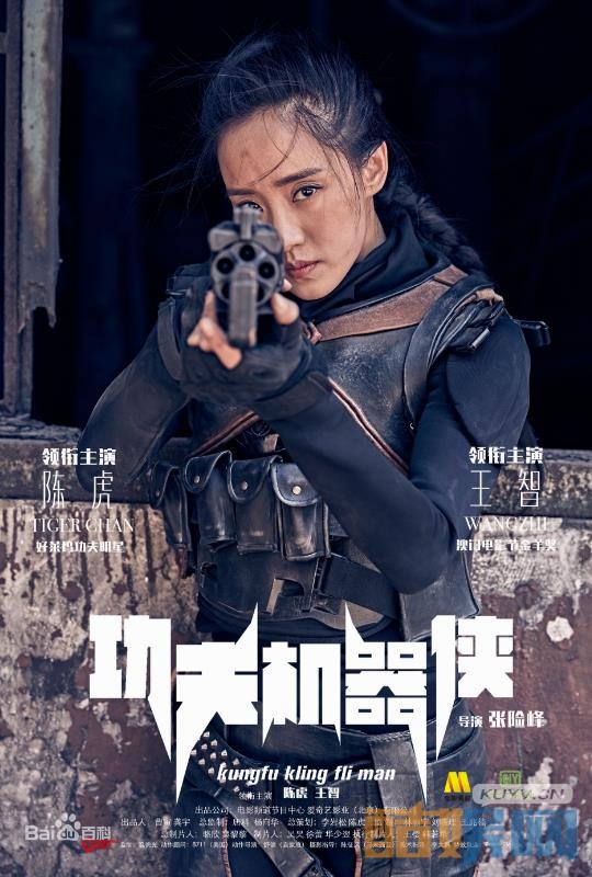 王智其他影视作品