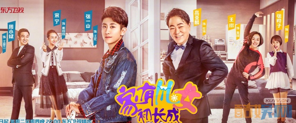 家有儿女初长成海报