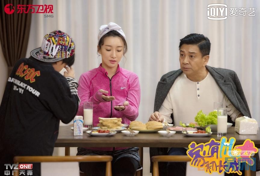 电视剧家有儿女初长成剧情分集介绍第26集