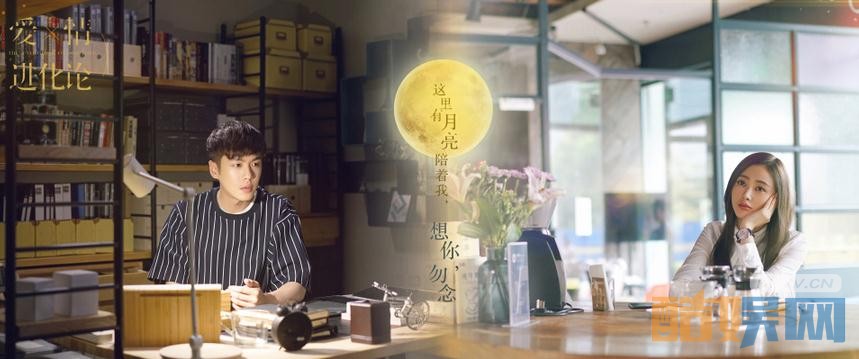电视剧爱情进化论剧情分集介绍第31集