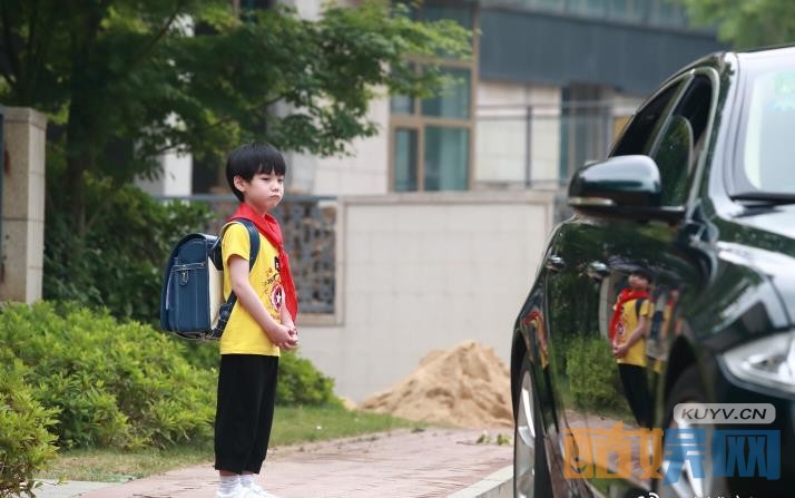 电视剧如果爱剧情分集介绍第35集