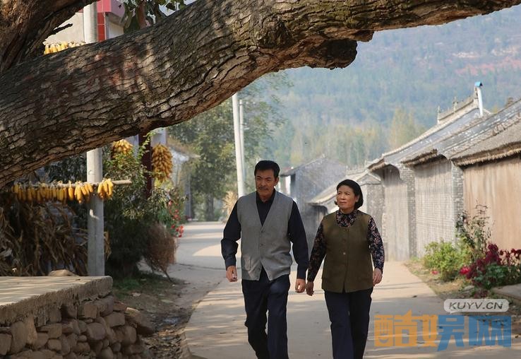 电视剧初婚剧情分集介绍第22集