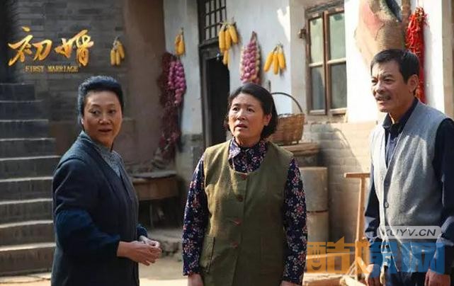电视剧初婚剧情分集介绍第26集