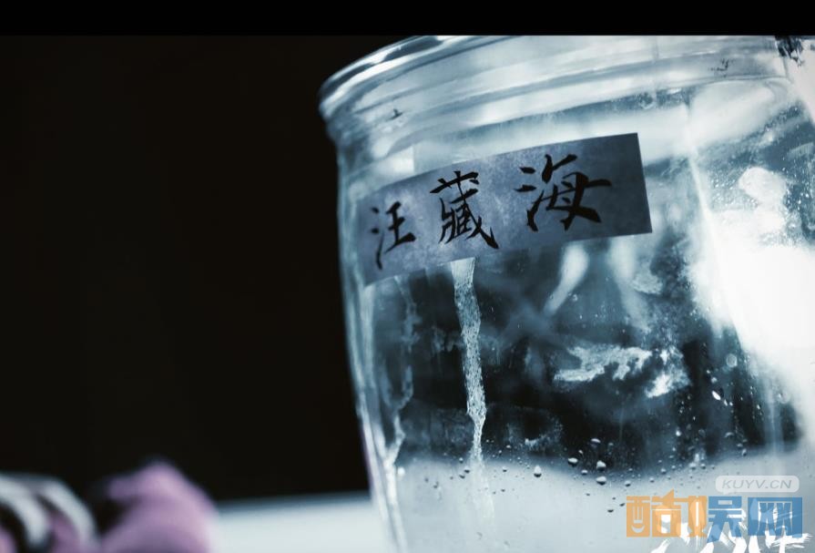 电视剧沙海剧情分集介绍第13集
