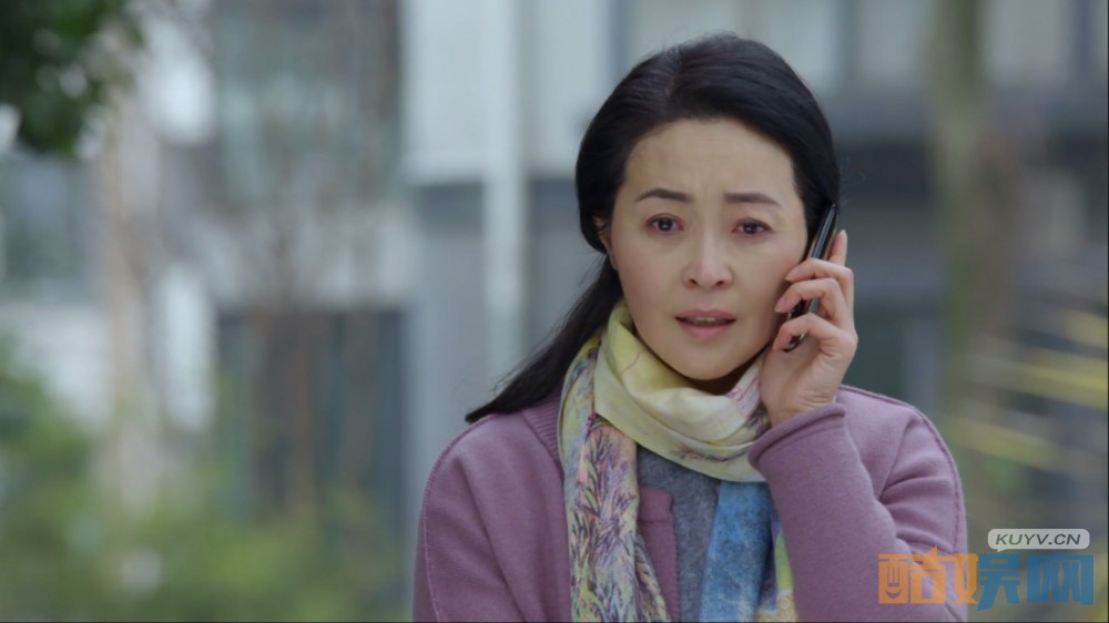 电视剧婚姻历险记剧情分集介绍第37集