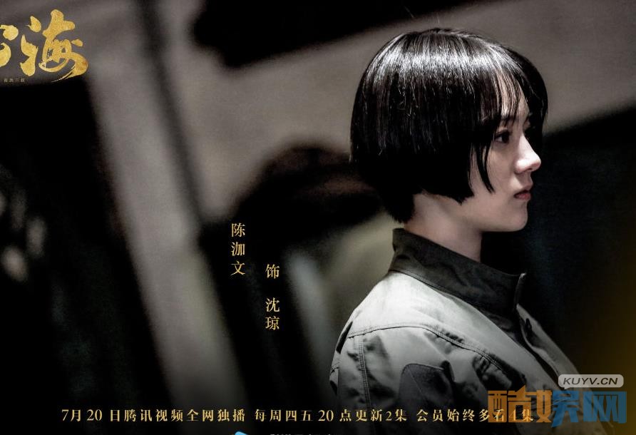 电视剧沙海剧情分集介绍第39集