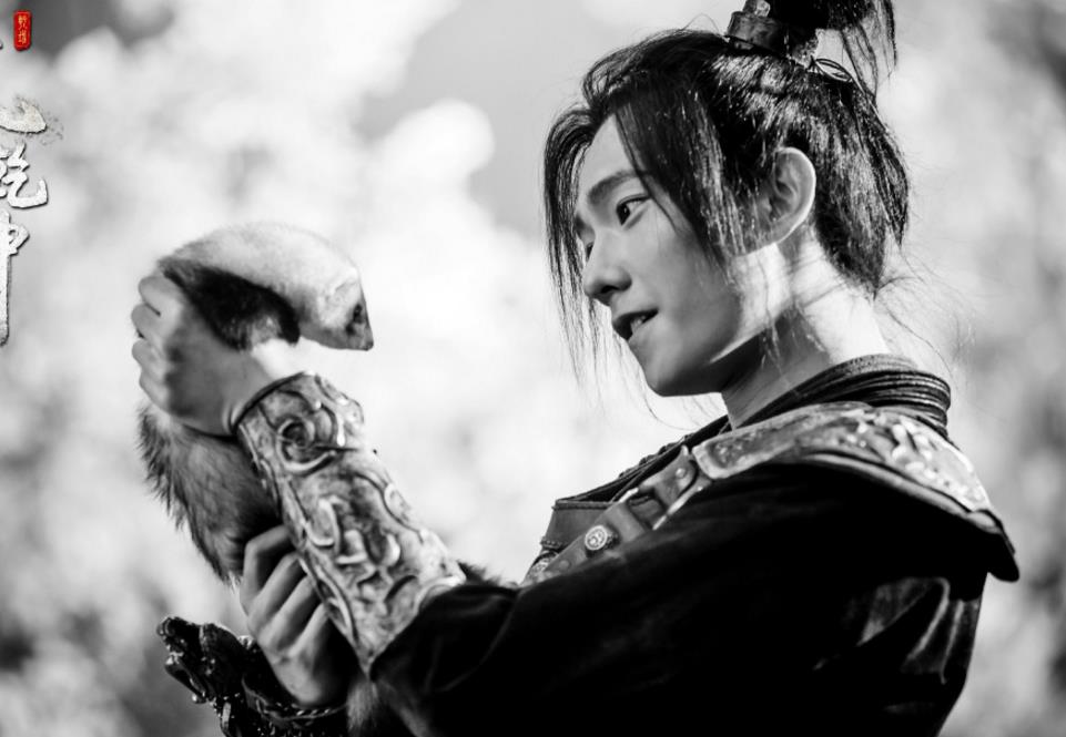 电视剧武动乾坤剧情分集介绍第31集
