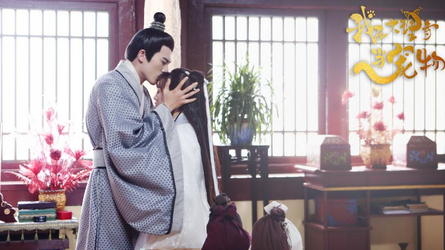 电视剧我在大理寺当宠物剧情分集介绍第1集