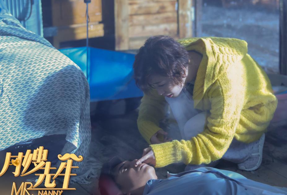 电视剧月嫂先生剧情分集介绍第11集