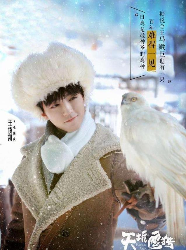 电视剧天坑鹰猎剧情分集介绍第17集