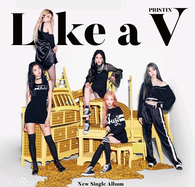 周洁琼团队写真