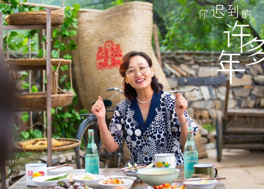 电视剧你迟到的许多年剧情分集介绍第15集
