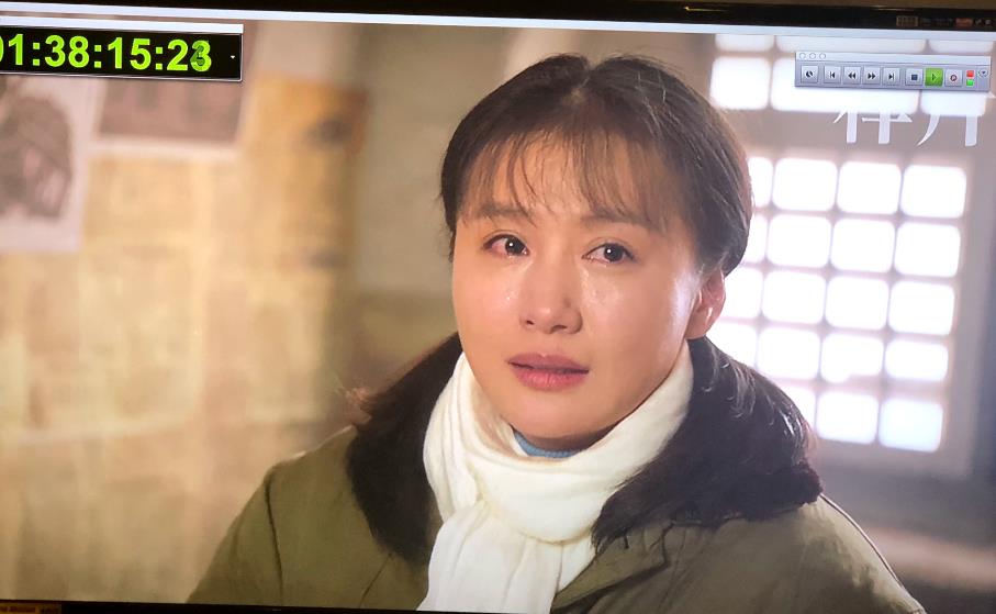 电视剧右玉和她的县委书记们剧情分集介绍第30集