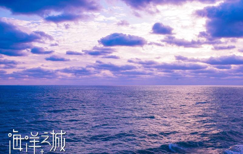 电视剧海洋之城剧情分集介绍第40集