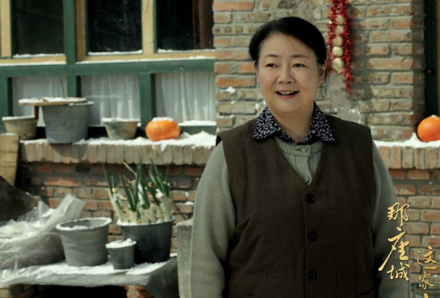 电视剧那座城这家人剧情分集介绍第19集