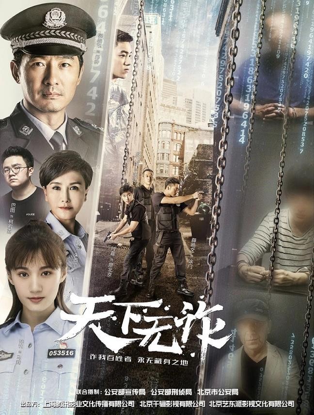 天下无诈海报
