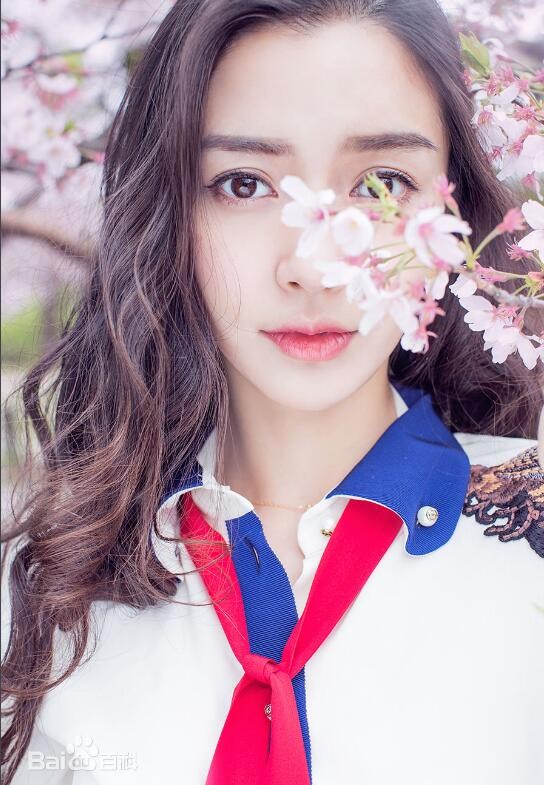 杨颖樱花写真