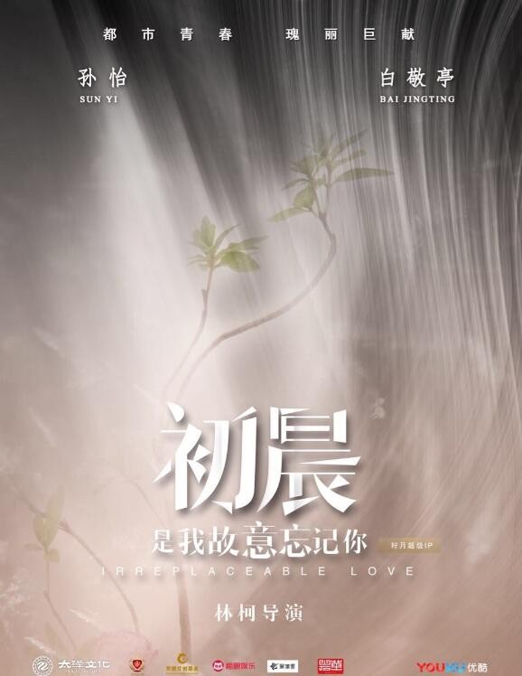 与晨同光什么时候播 与晨同光播出时间