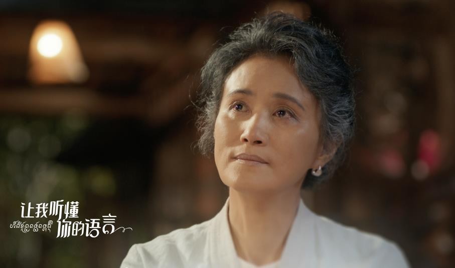 电视剧让我听懂你的语言剧情分集介绍第8集