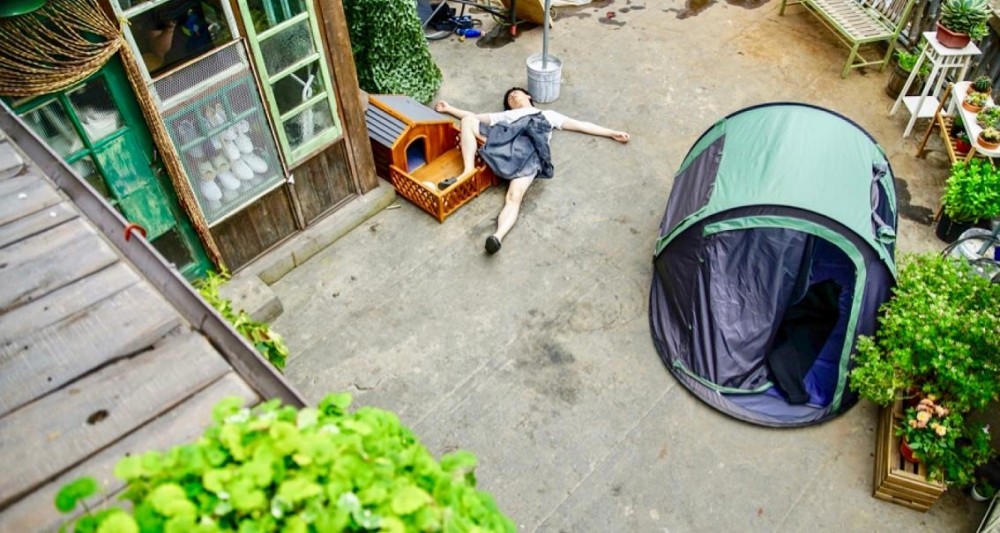 电视剧一场遇见爱情的旅行剧情分集介绍第43集