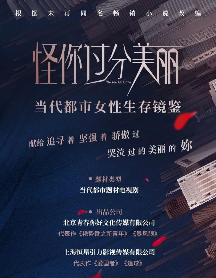 怪你过分美丽海报