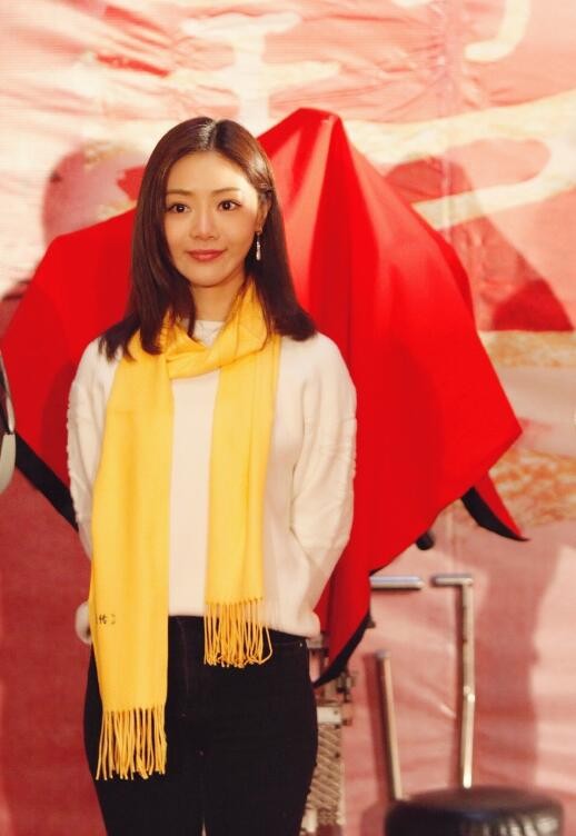 大明皇妃孙若微传发布会