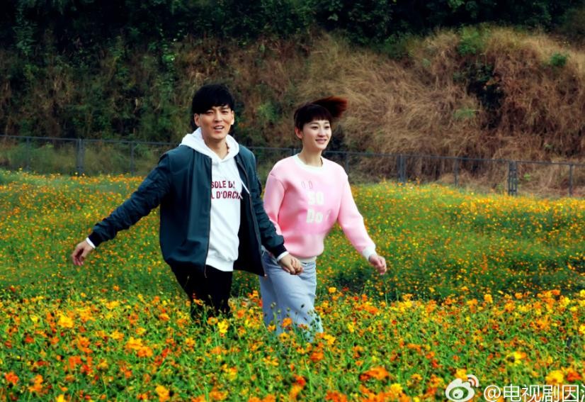 因法之名许子蒙喜欢葛晴吗？许子蒙为什么和葛晴结婚？许子蒙和葛晴结婚的原因是什么？