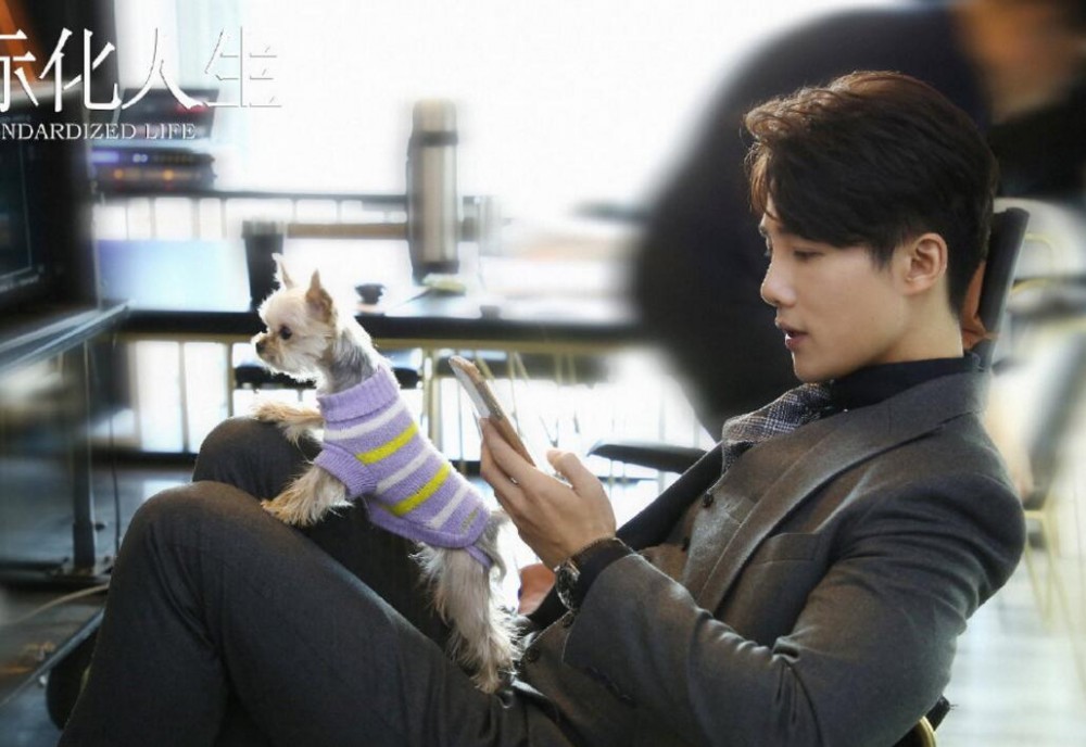 电视剧正青春剧情分集介绍第24集