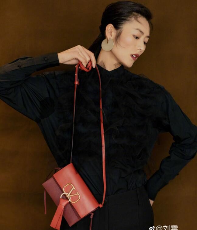 刘雯御姐范儿写真