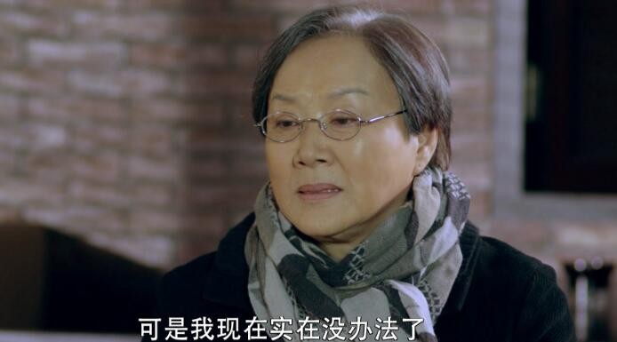 电视剧因法之名剧情分集介绍第37集