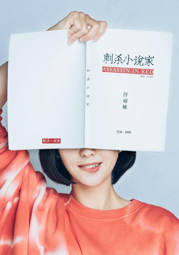 刺杀小说家海报