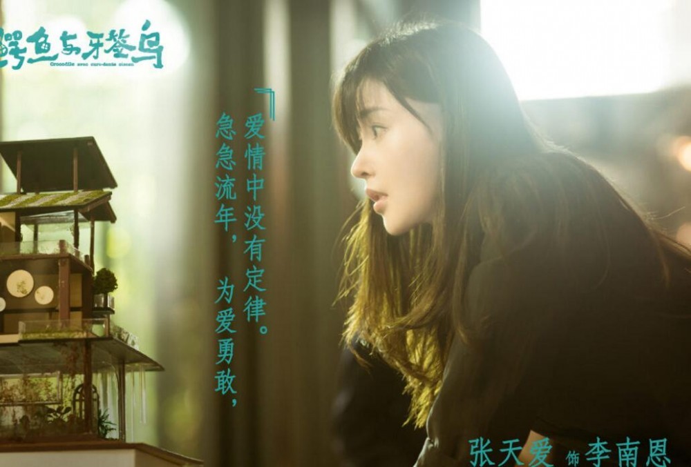 电视剧鳄鱼与牙签鸟剧情分集介绍第16集