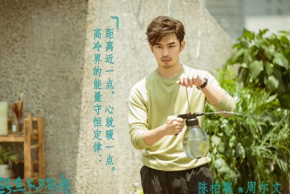 电视剧鳄鱼与牙签鸟剧情分集介绍第17集