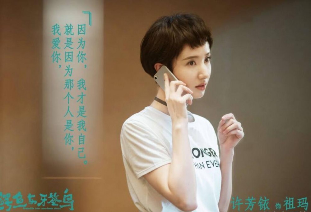 电视剧鳄鱼与牙签鸟剧情分集介绍第21集