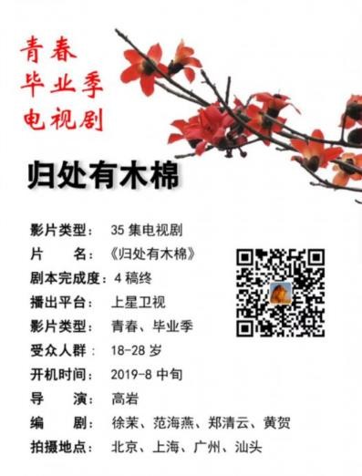 归处有木棉角色介绍