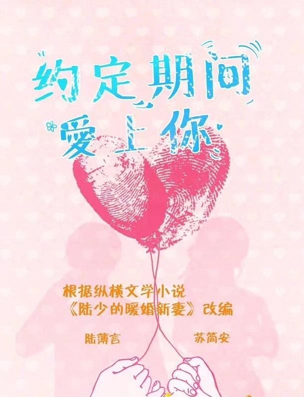 约定期间爱上你海报