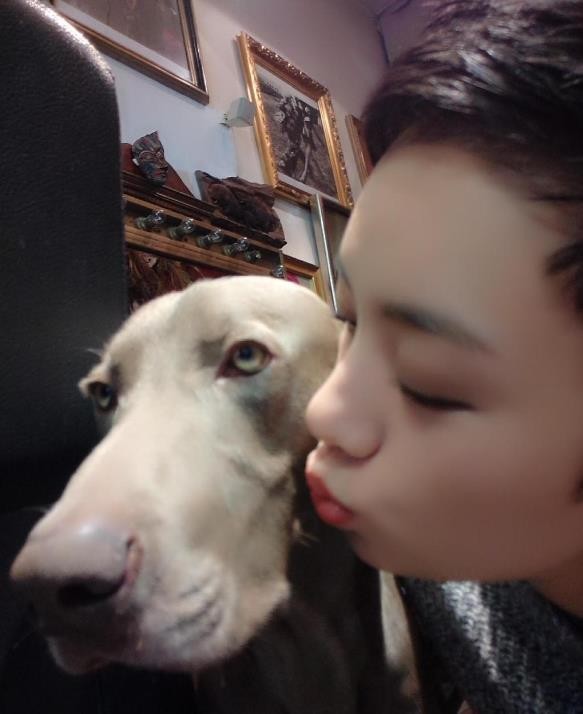 李晓峰宠物照