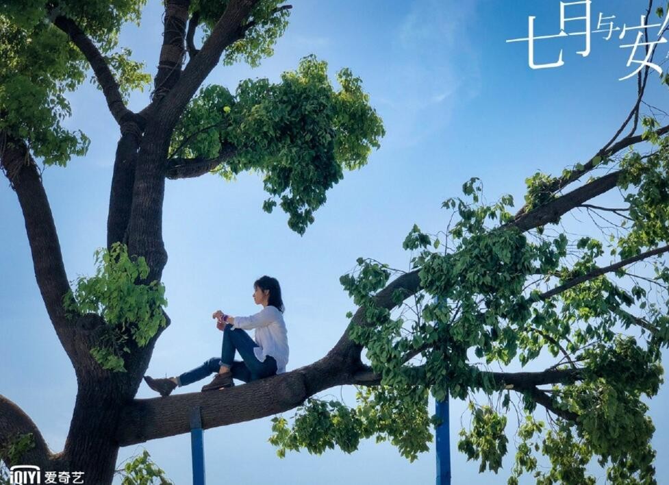 电视剧七月与安生剧情分集介绍第34集