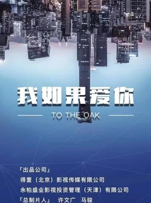 我如果爱你海报