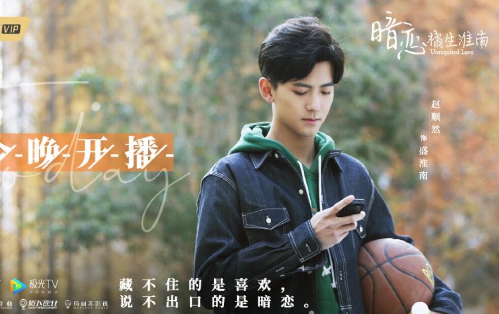 电视剧网剧暗恋橘生淮南剧情分集介绍第2集