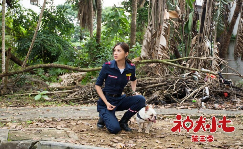 神犬小七3剧照