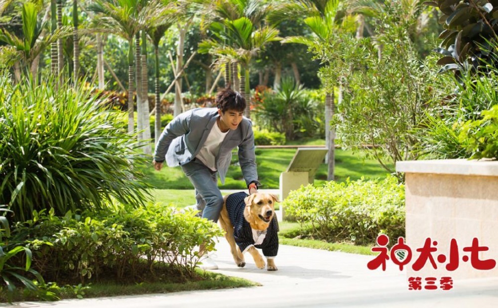 神犬小七3剧照
