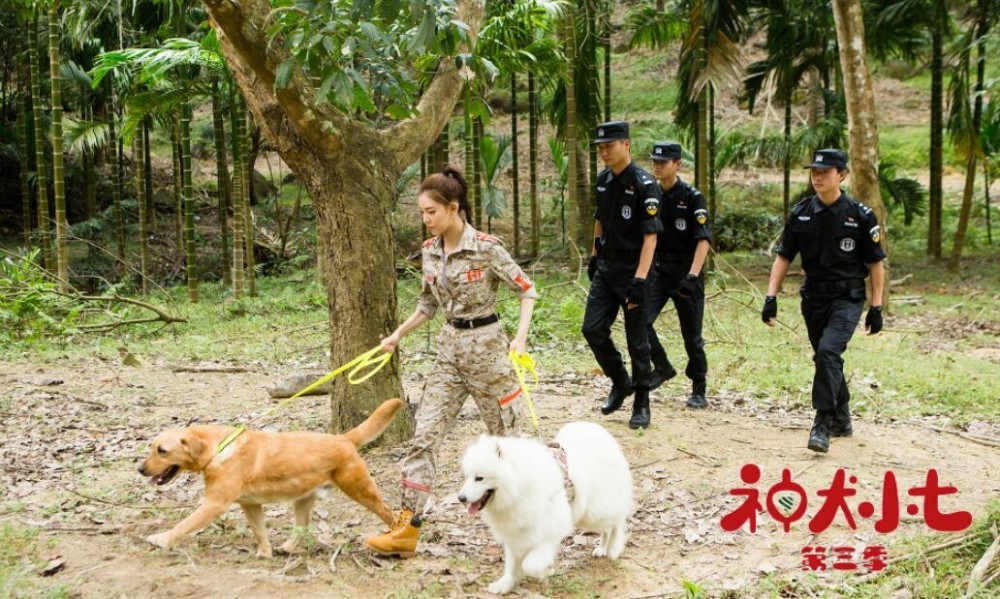神犬小七3剧照