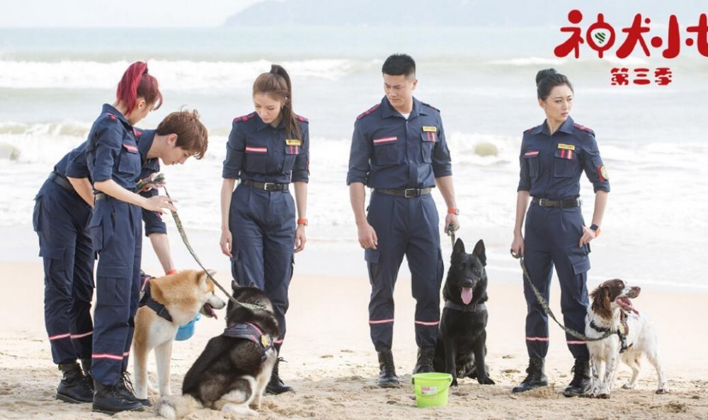 神犬小七3剧照