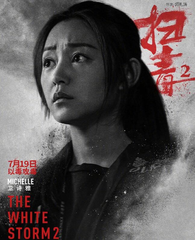 扫毒2：天地对决角色介绍