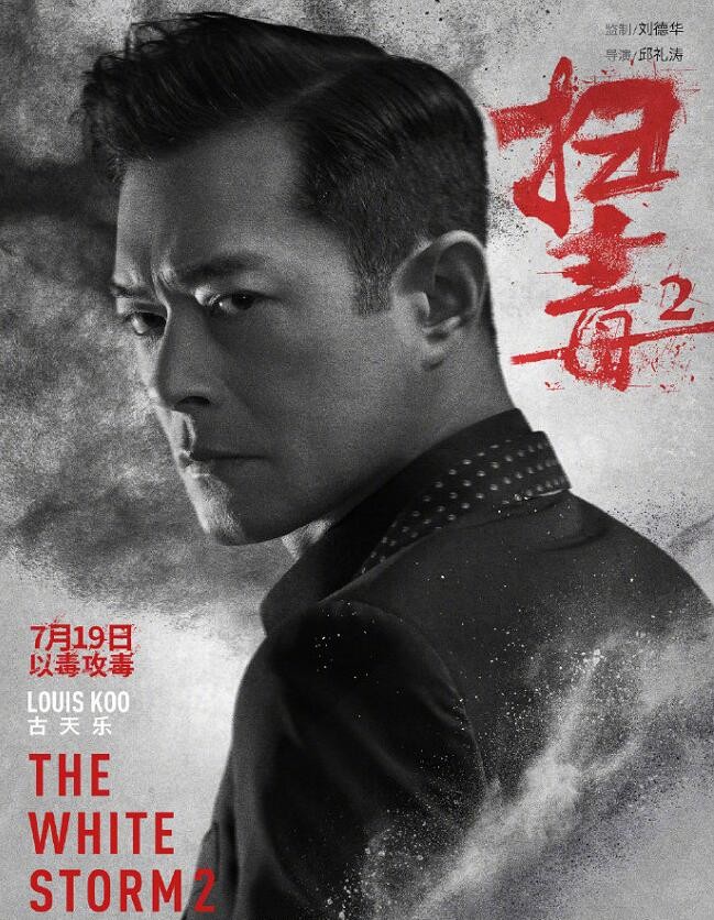 扫毒2：天地对决角色介绍