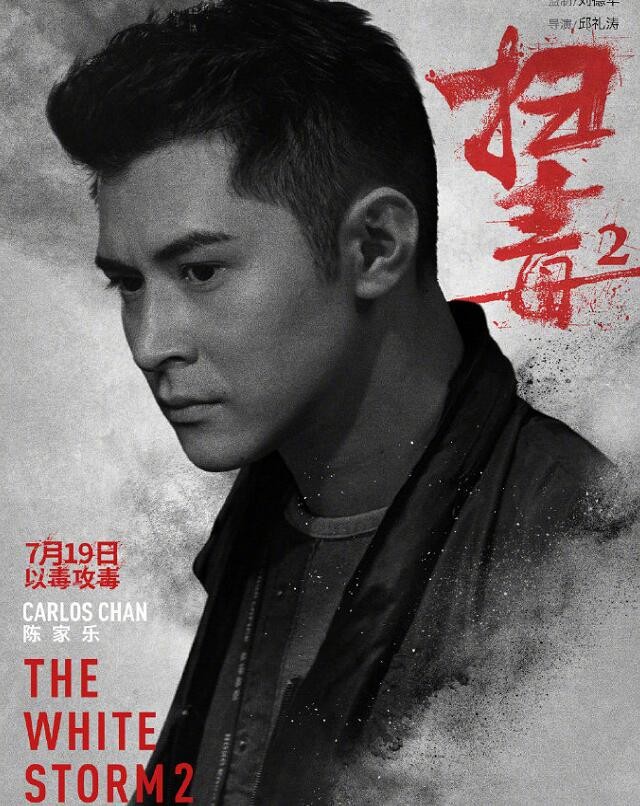 扫毒2：天地对决角色介绍