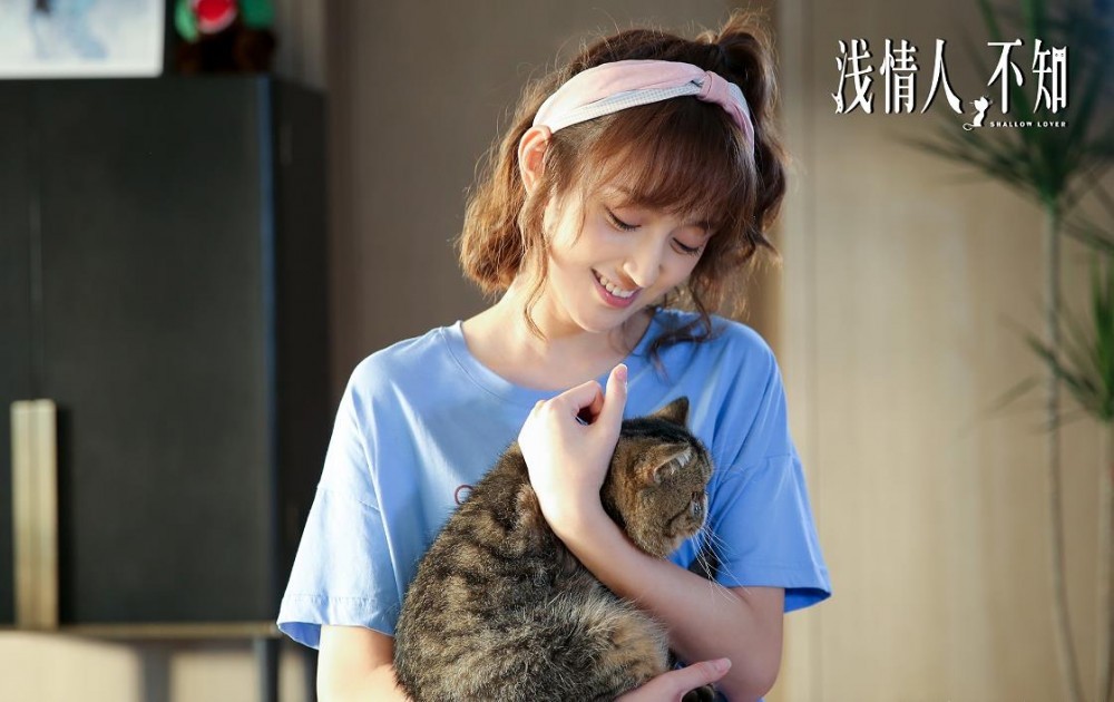电视剧浅情人不知剧情分集介绍第12集